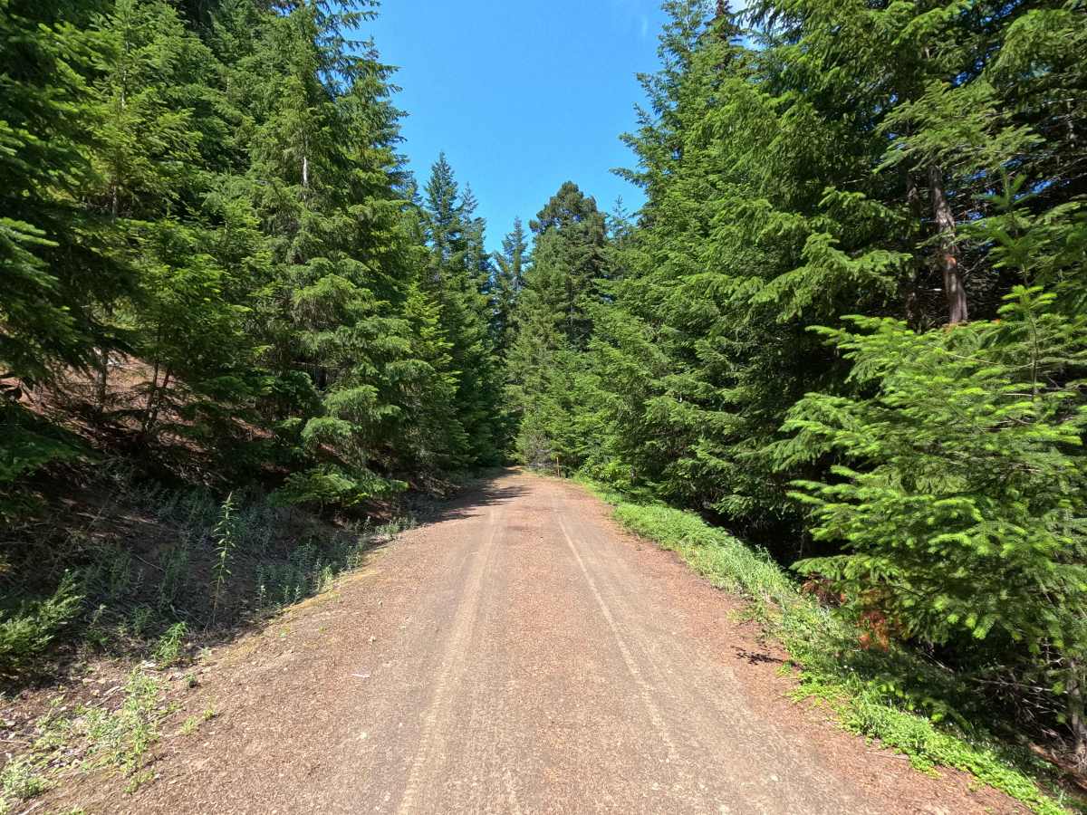 Upper Dunegeness Fork - FS 2870 photo 5