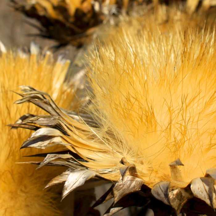 Near Blue Rock Springs Park