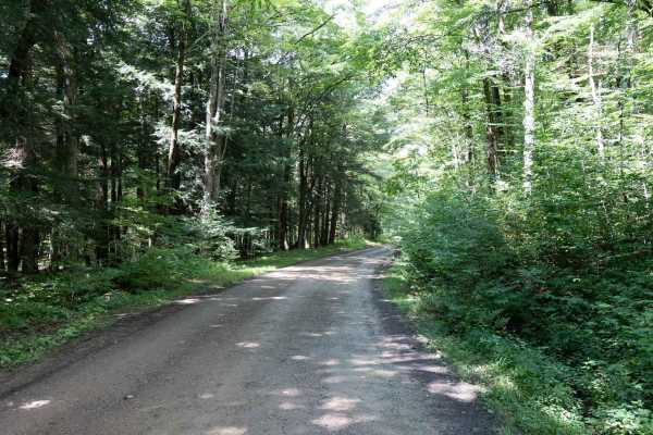 Lime Stone Run Road