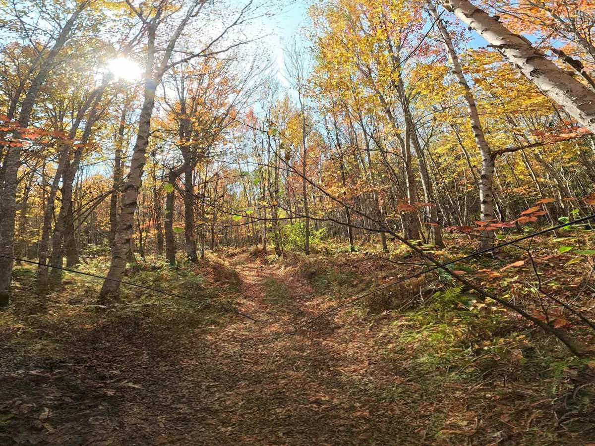 Old Hatchery Winter Trail End photo 3