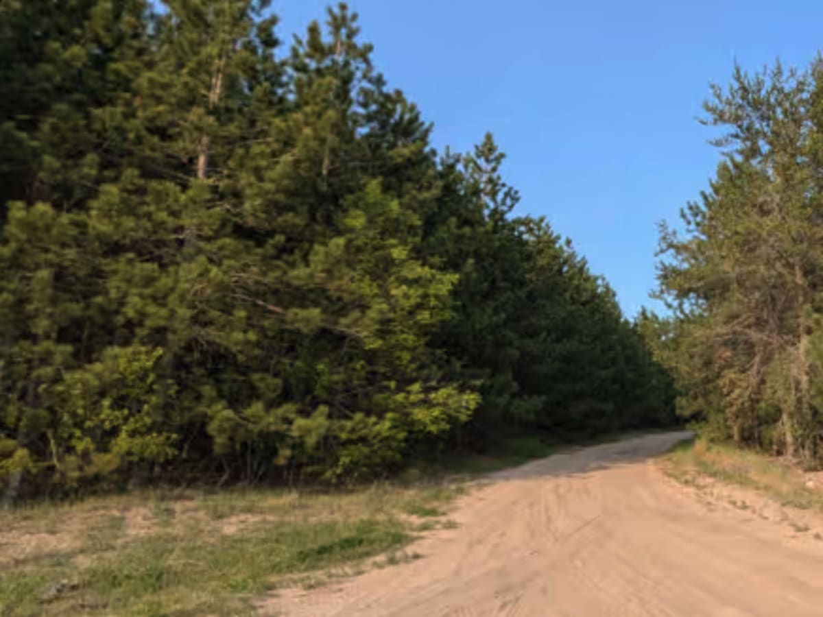 Norton Camp Truck Trail photo 3