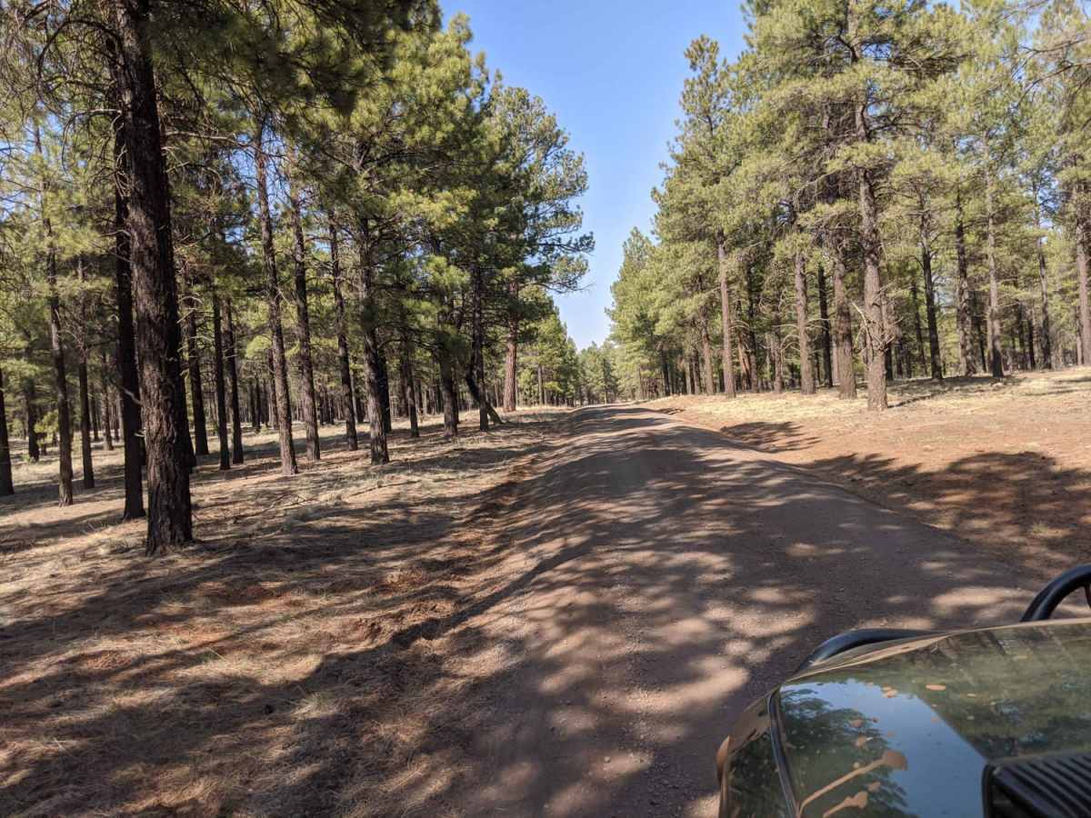 Wing Mountain Road photo 3