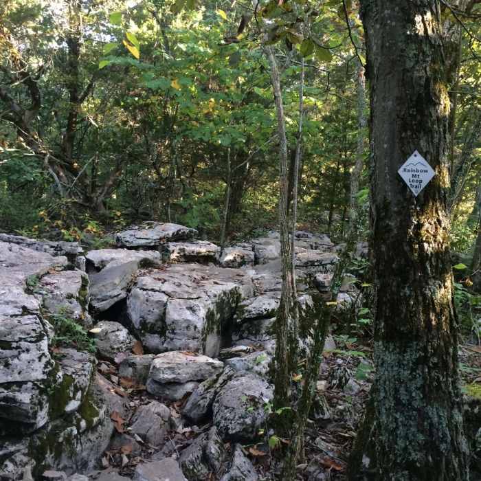 Near Wild Trail