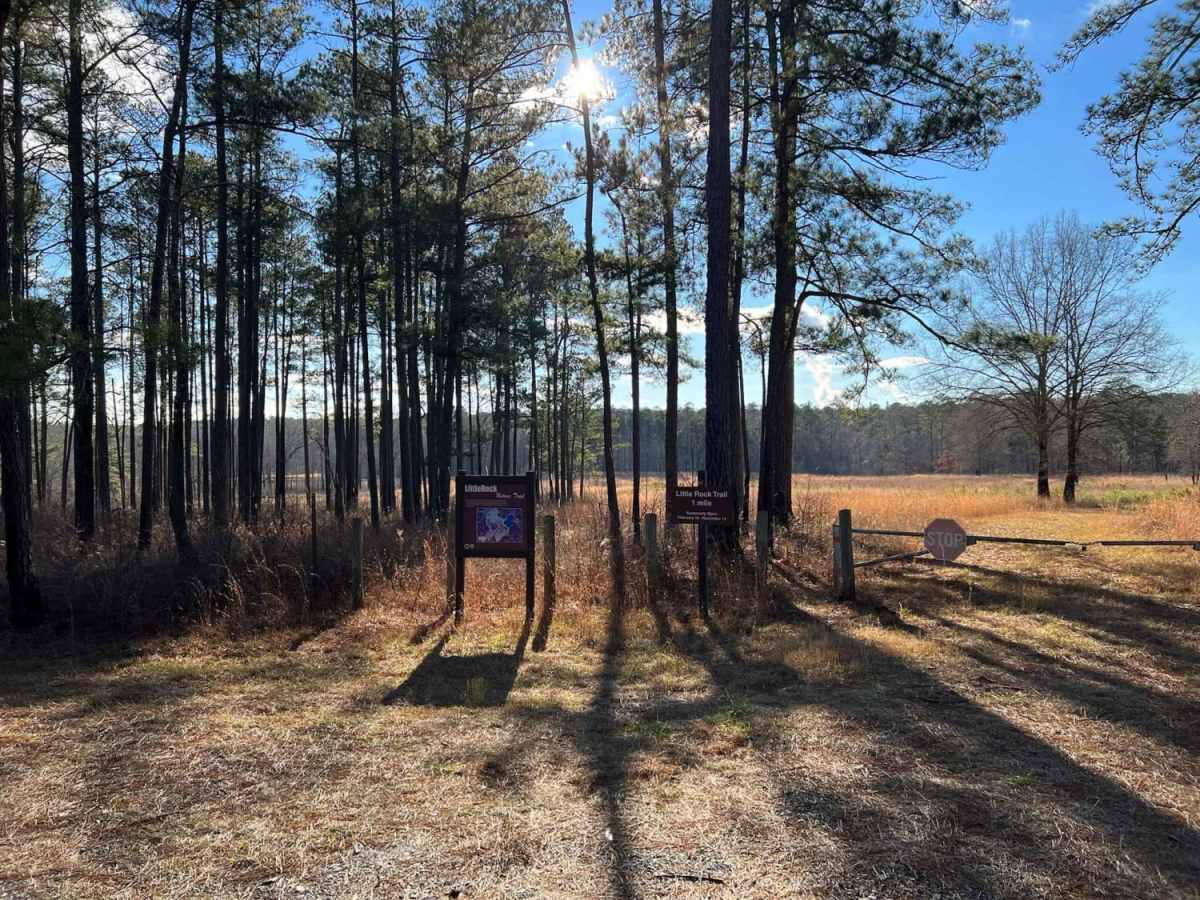 Little Rock Wildlife Drive photo 3