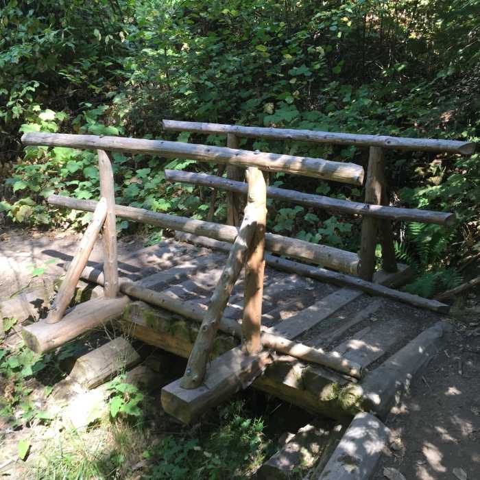 Near Lewis Creek Trail