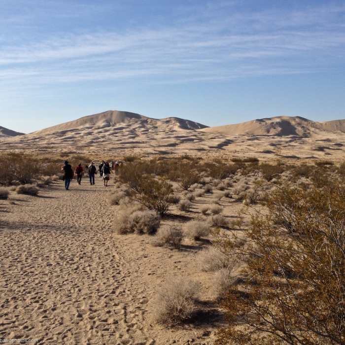 Near Kelso Dunes Route