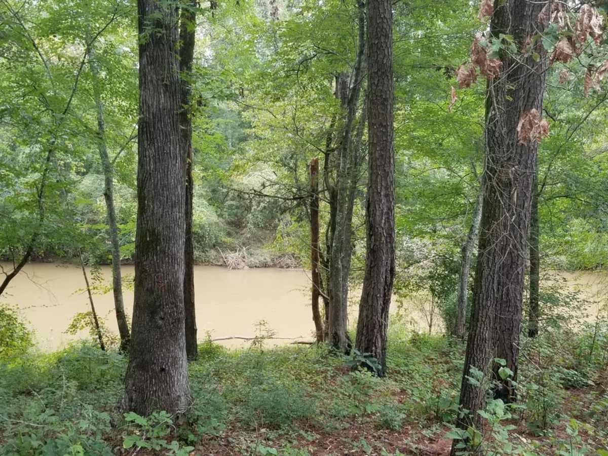 Enoree River Southside Trail System photo 5
