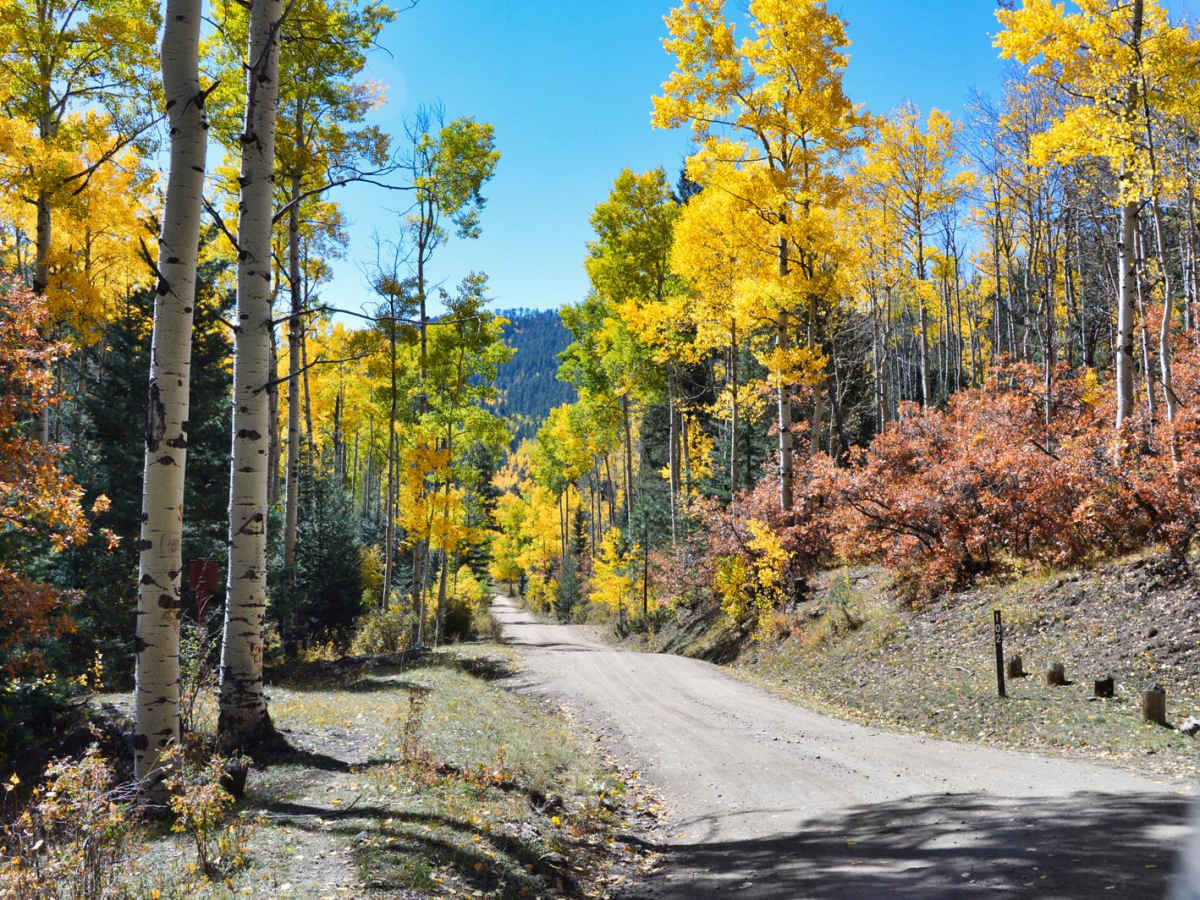 Pacheco Canyon trail photo