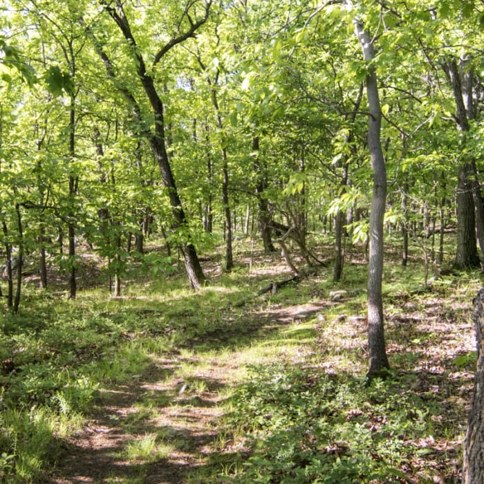 Near Trestle Trail and Megaliths