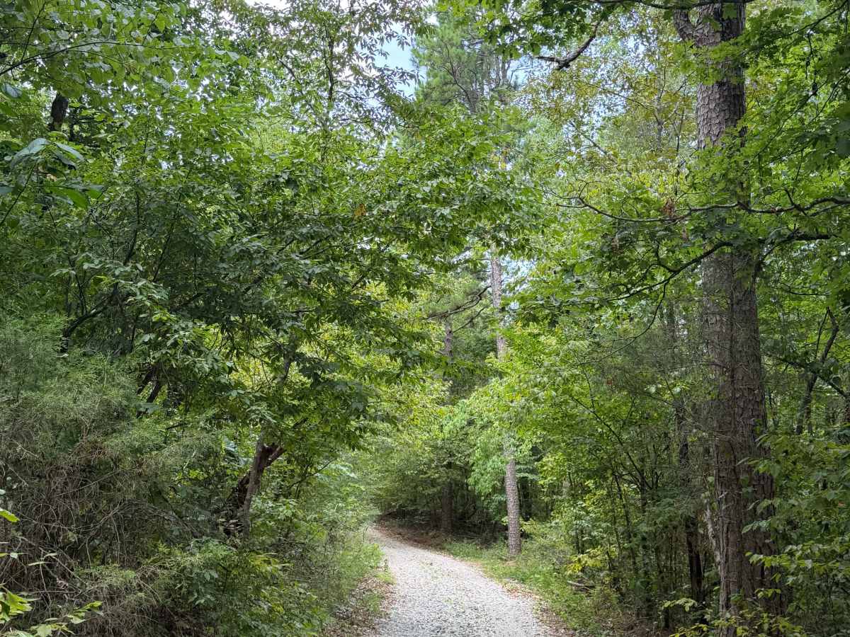 Perry Creek photo 2