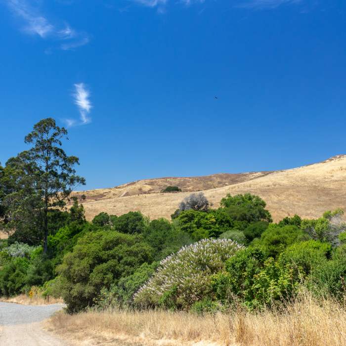 Near Wildcat Canyon Loop