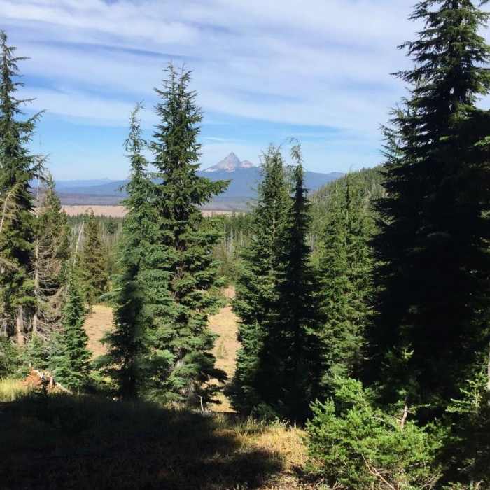 Near Pacific Crest Trail: Oregon Section C - Highway 140 to Highway 138