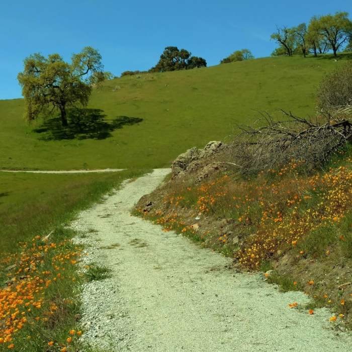 Near Rancho San Vicente Loop