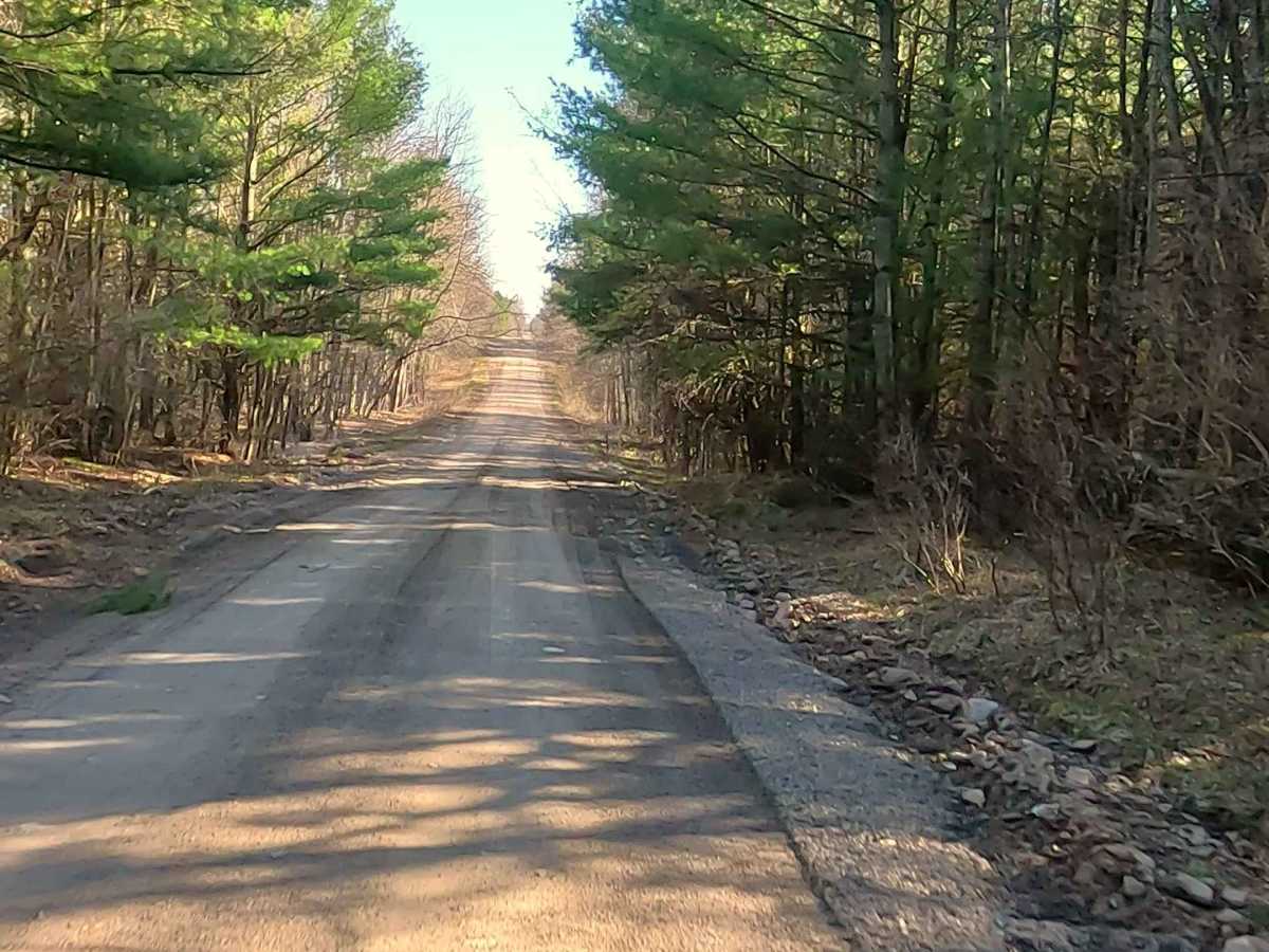 Michaud Road and Goodar Road trail photo