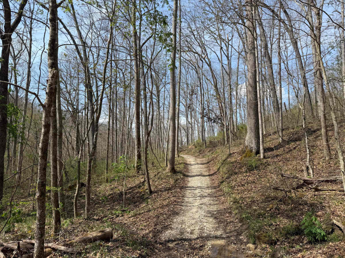 Wolcott Loop photo 3