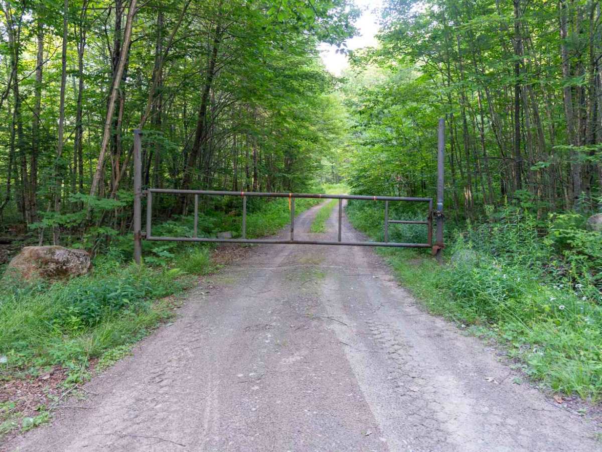 Doug Mountain Road photo 6
