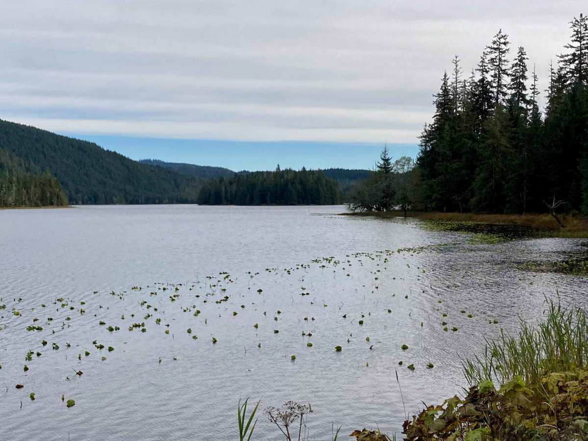 Twin Island Lake - FS 2700000 photo 2