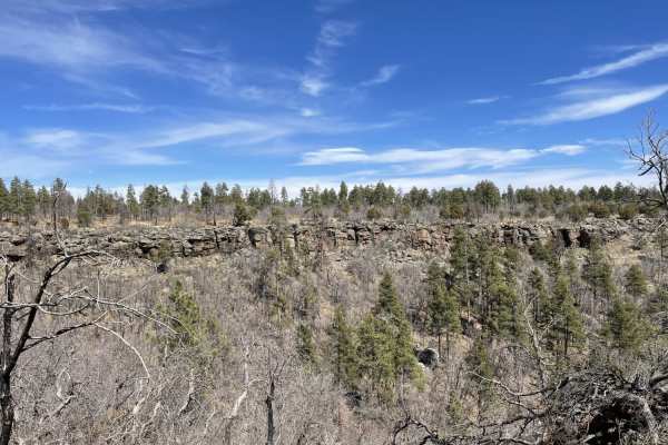 Gobbler Springs Road