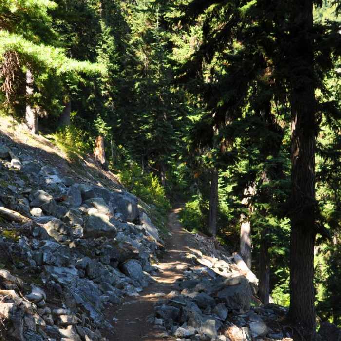 Near Lake Ann via Maple Pass Loop
