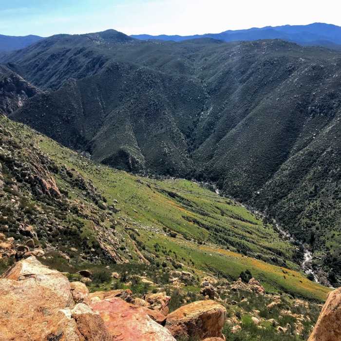 Looking up the valley Near Eagle Peak Trail