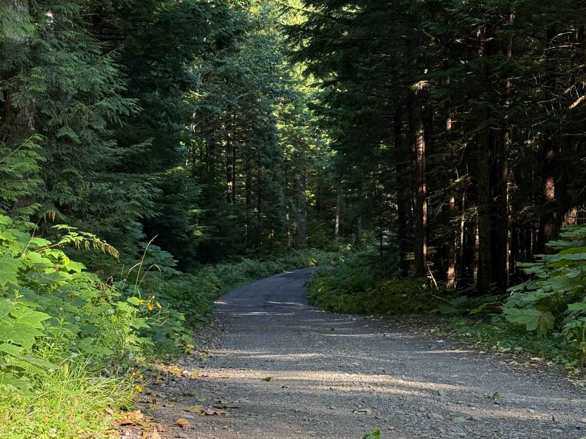 Copper Mountain Trail photo 2