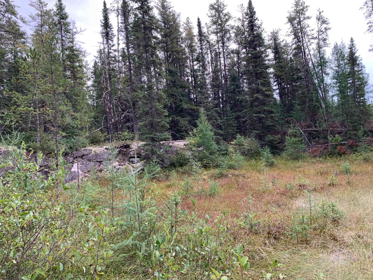 Northwest Spur B Trail - FS 373B photo 5