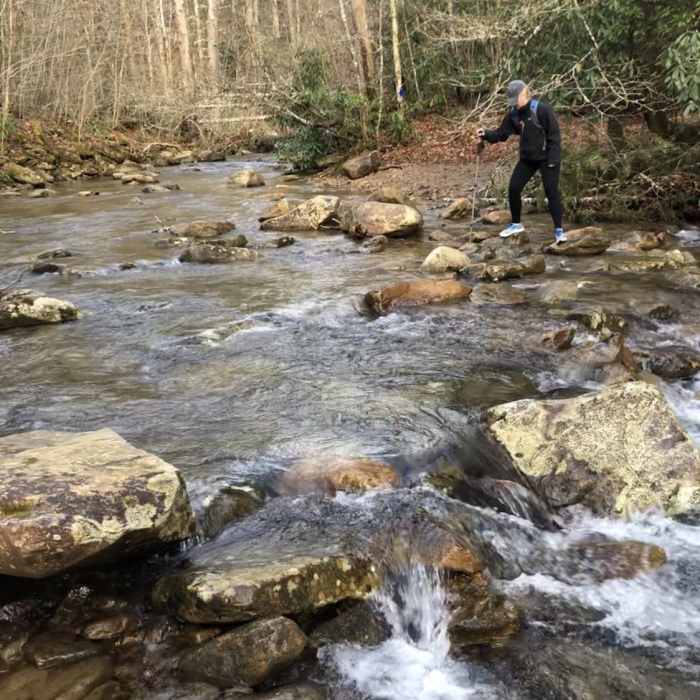 Near Devil's Fork Loop Trail #401