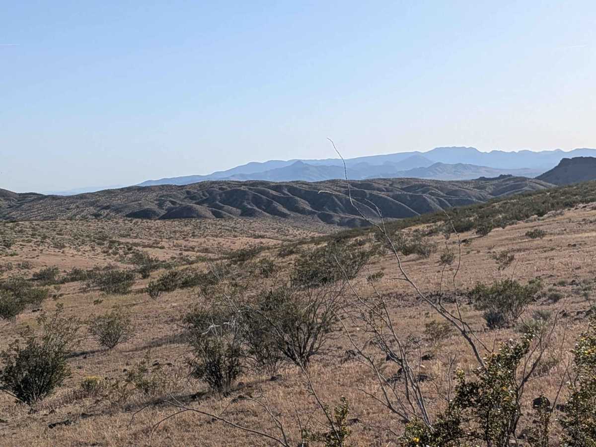 BLM EP499 photo 2
