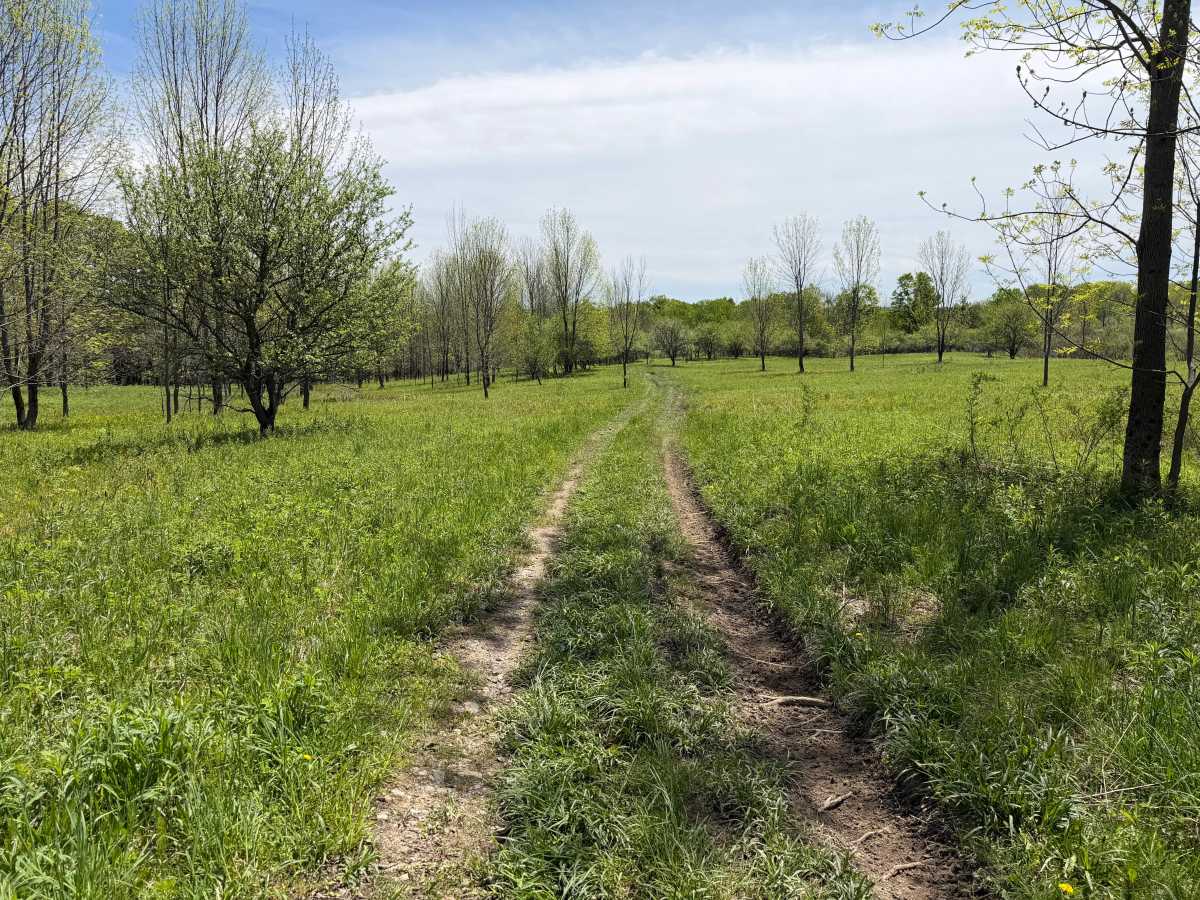 Grower Green Trail East - 2 photo 6