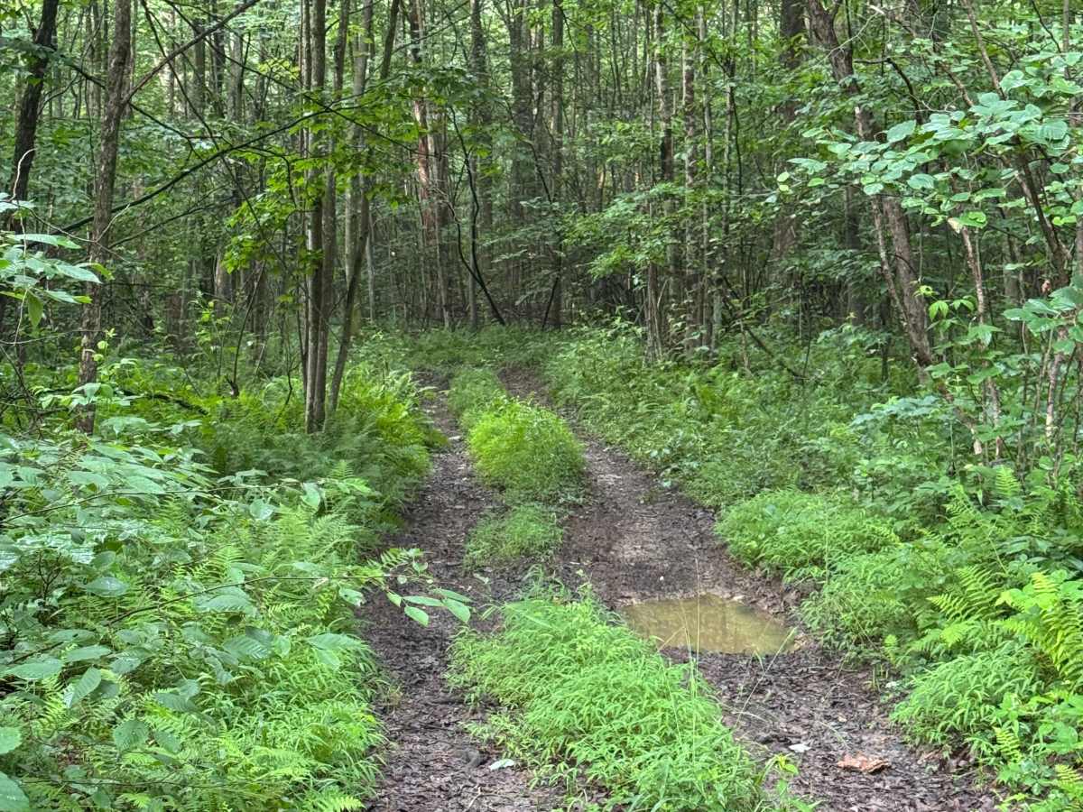 Trail 47 photo 4