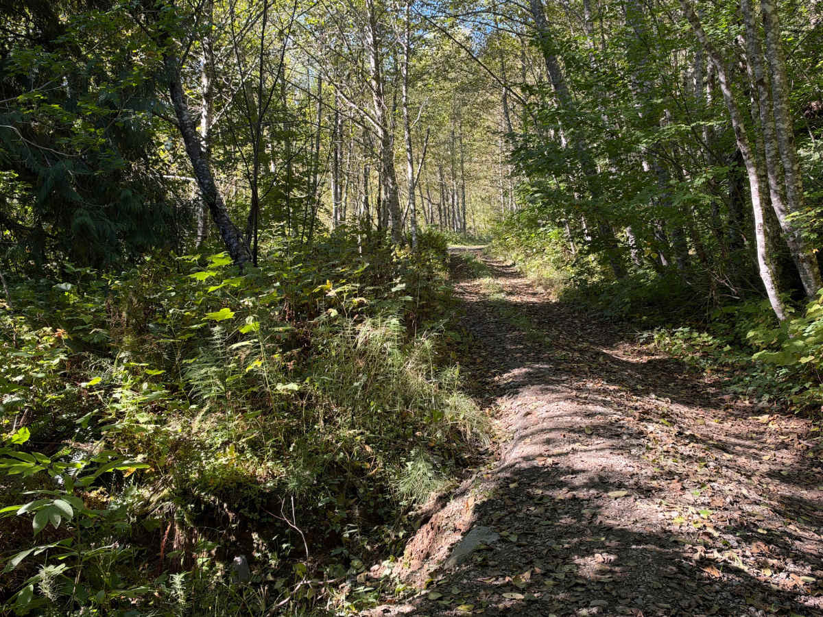 Rinker Ridge photo 2