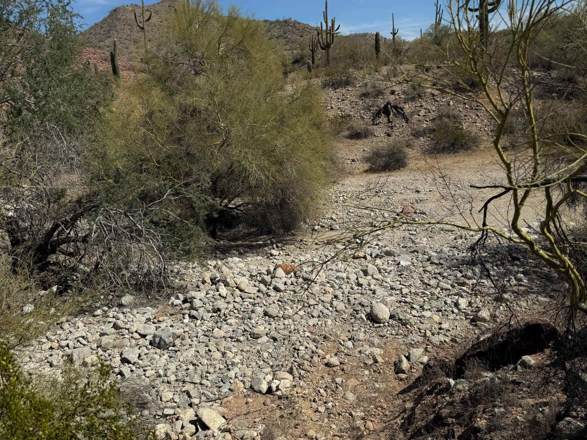 Hidden Valley Wash  photo 3