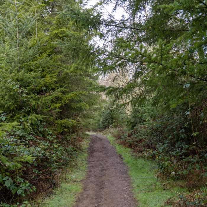 Near Sandy River - Jim Slagle Loop Trail
