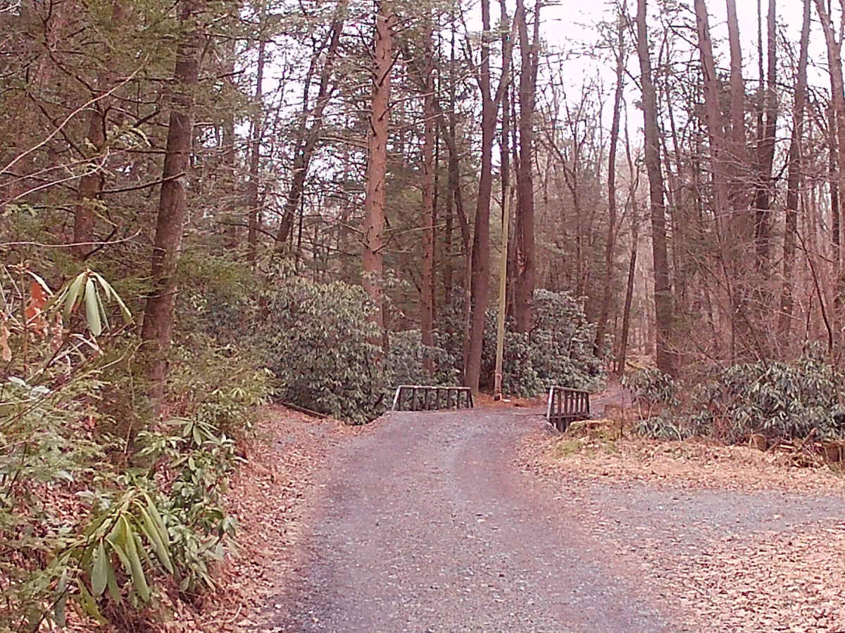 Corner Road photo 4