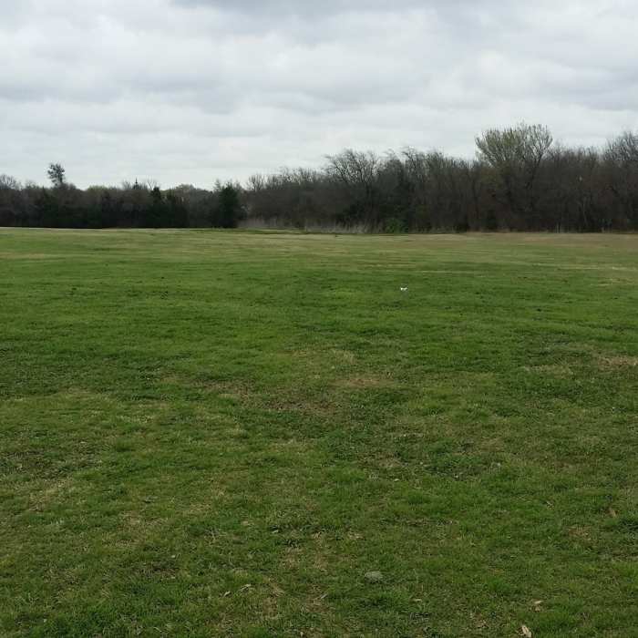 Near Russell Creek Pond Trail