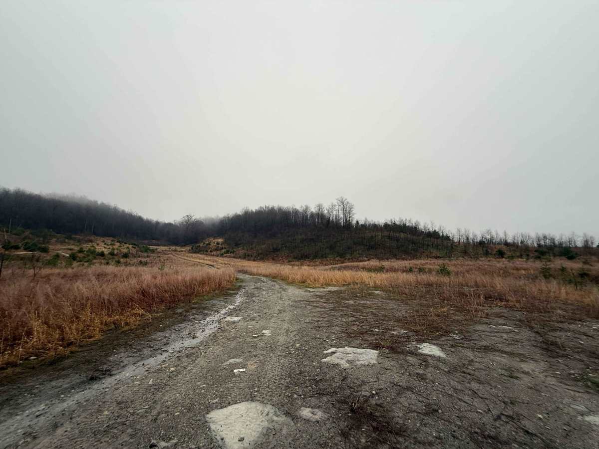 Q13 photo 2
