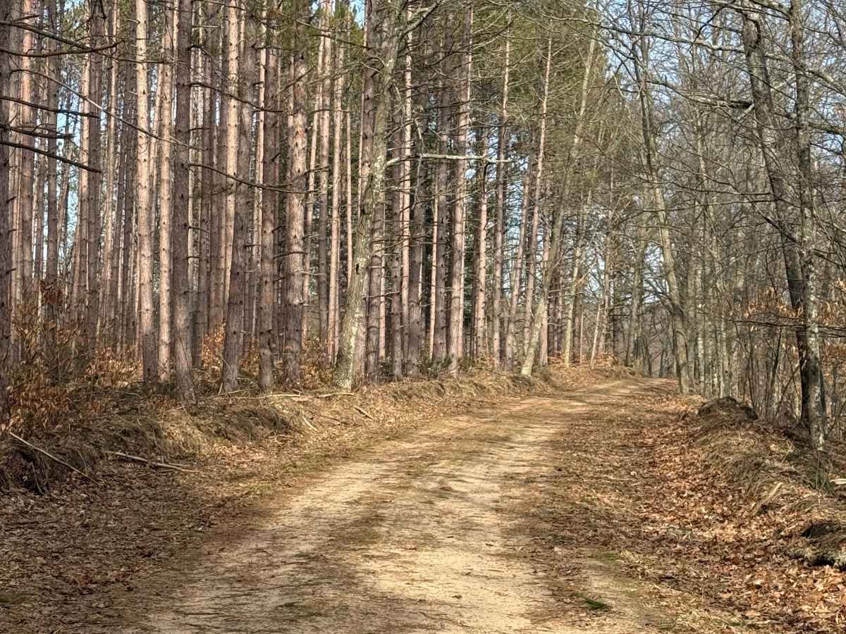 FS 8250 trail photo