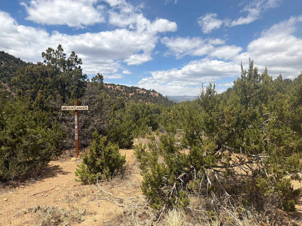 BLM 6182 photo 6