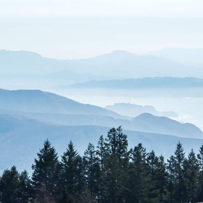 Near Dipsea Trail and Ben Johnson Loop