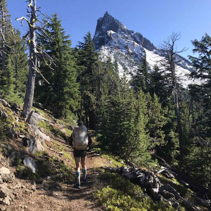 Near Pacific Crest Trail: Oregon Section D -- Highway 138 to Highway 58 (near Willamette Pass)