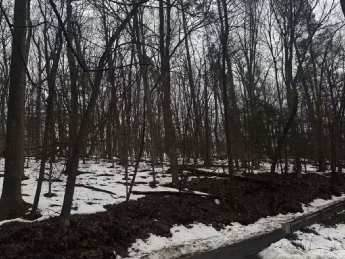 Mount Airy Road  photo 2