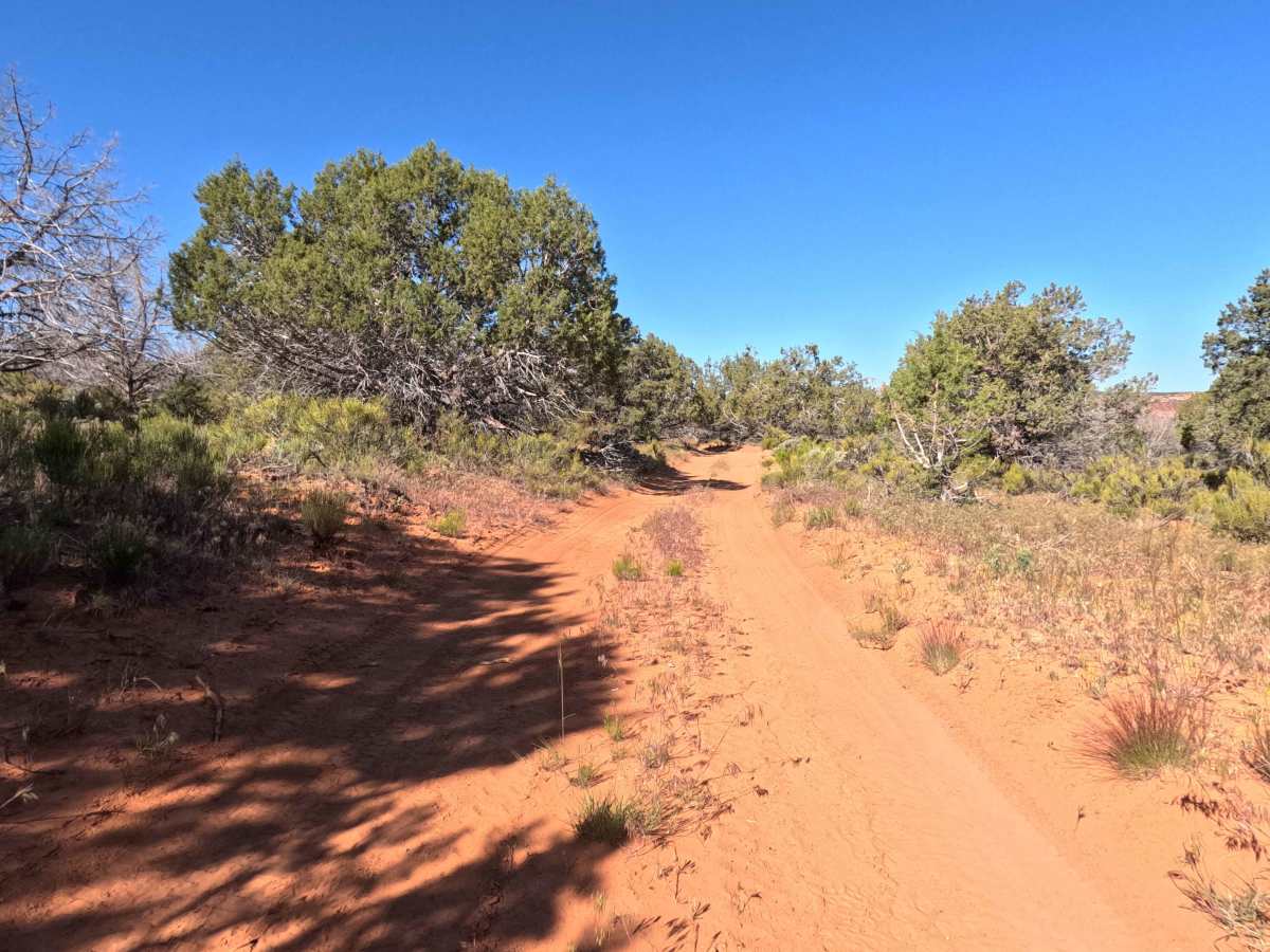Squaw Trail  photo 2