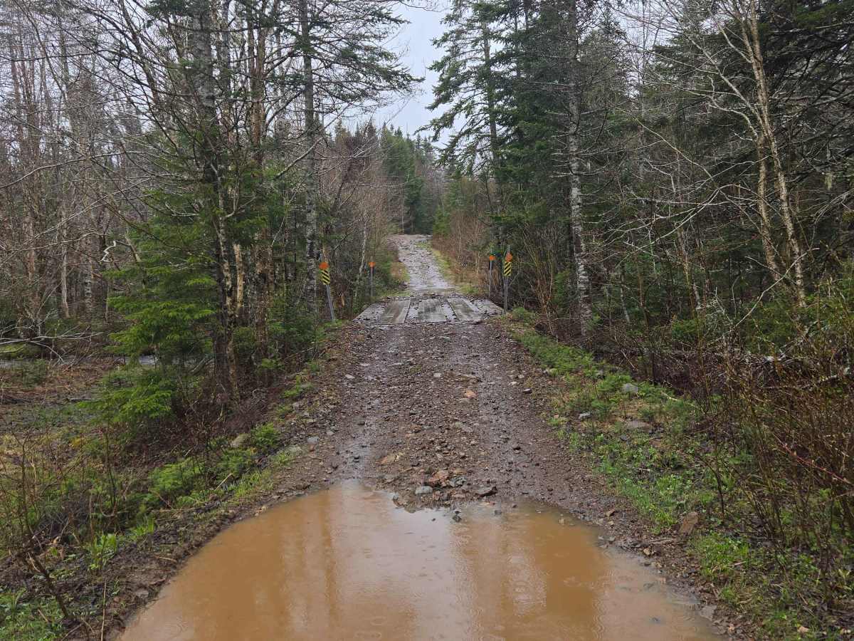 Little Snare Lake Trail photo 5