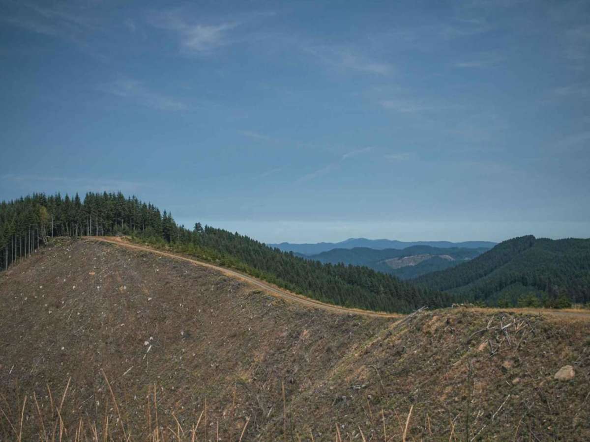 Bull Run trail photo