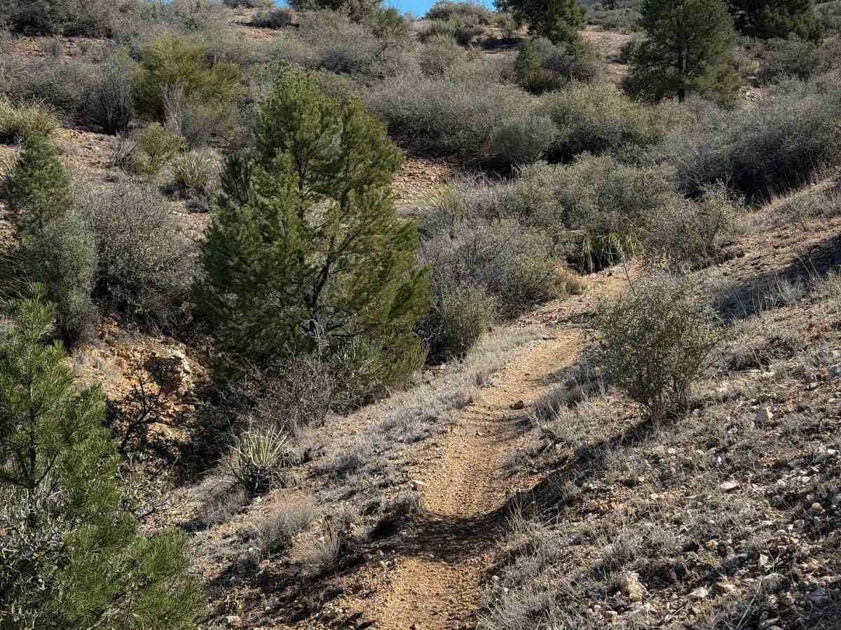Hualapai Singletrack photo 6