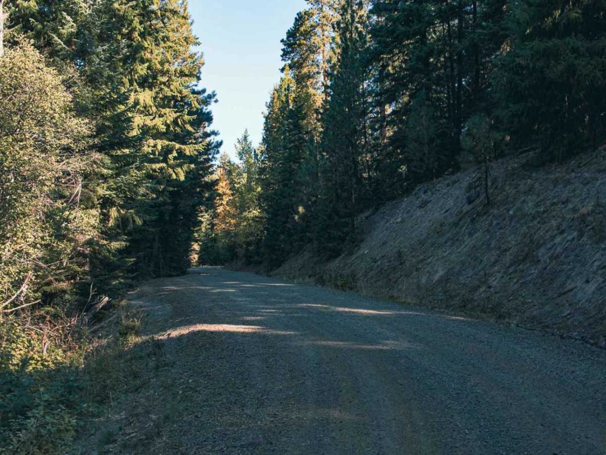 Spencer Creek trail photo