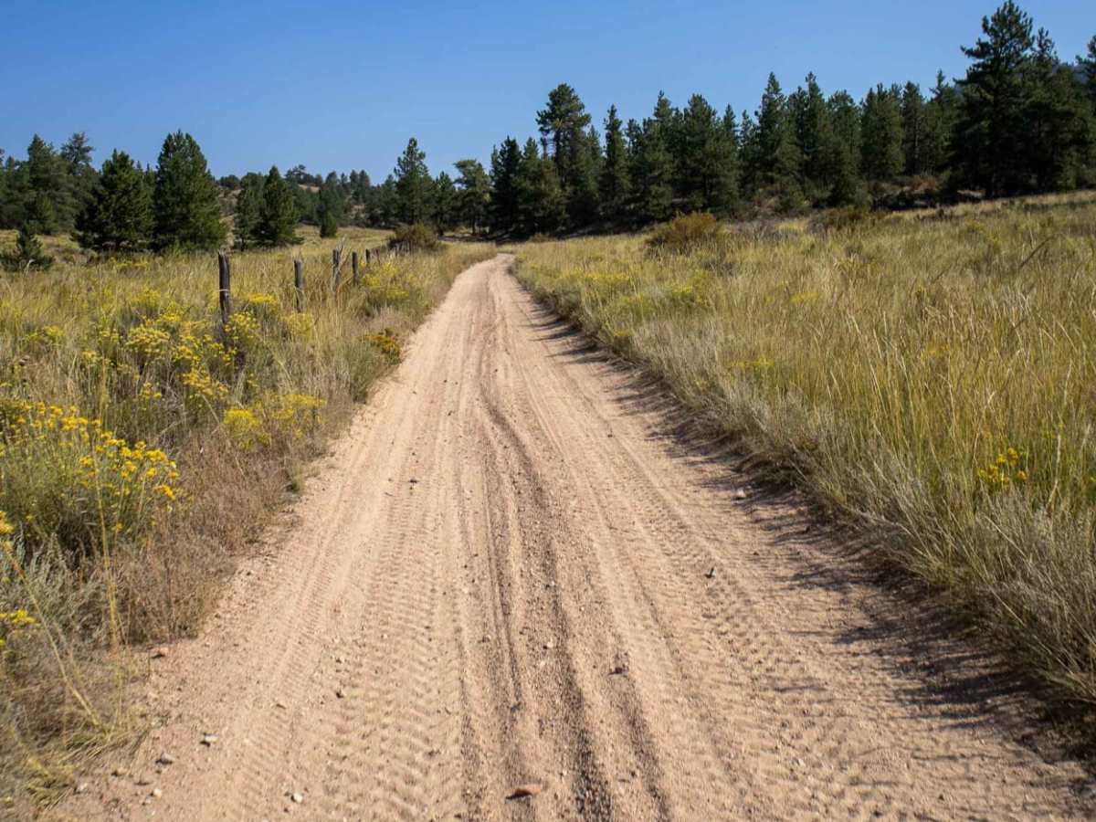 Bald Mountain Gulch 2 photo 4