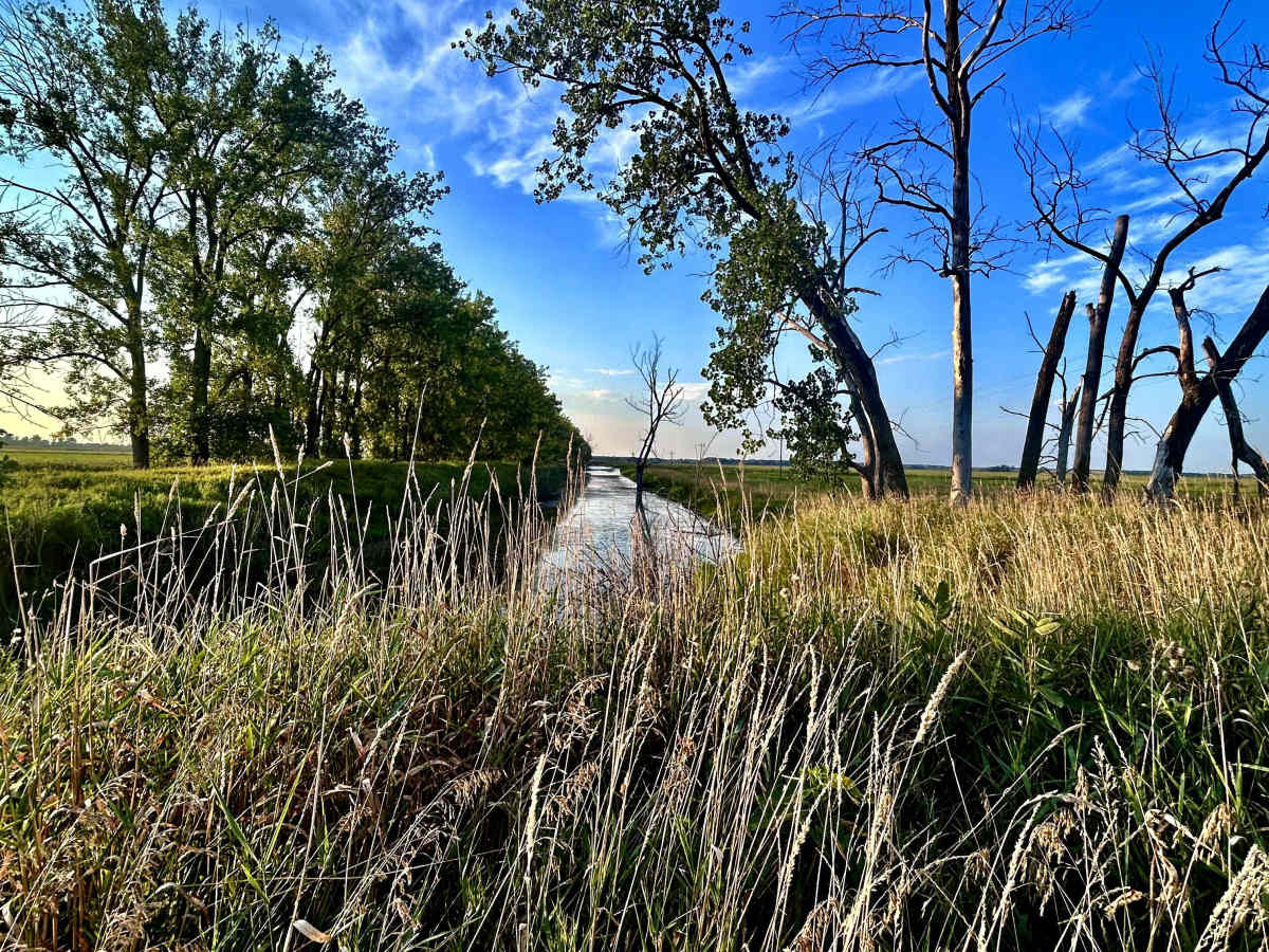 Wildlife Drive photo 4