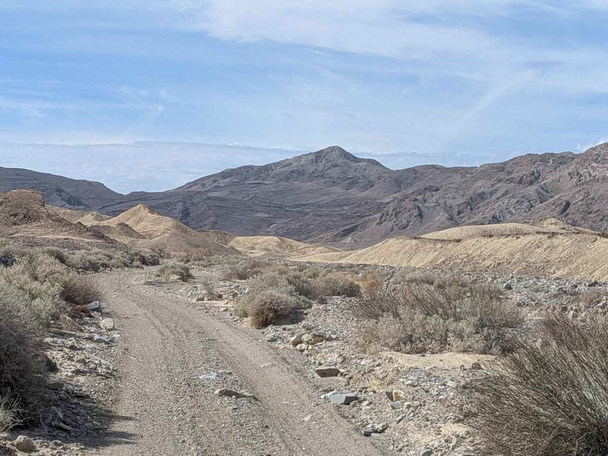 BLM 220 photo 5