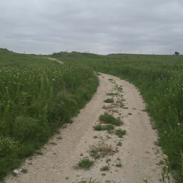 Near Lubbock Lake Landmark